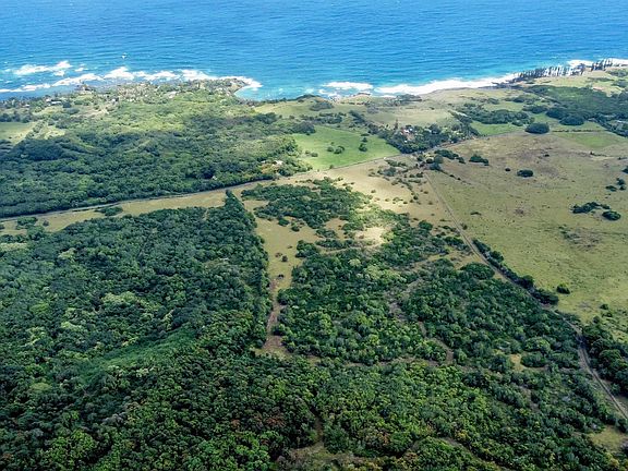 2nd image of Hana Hwy