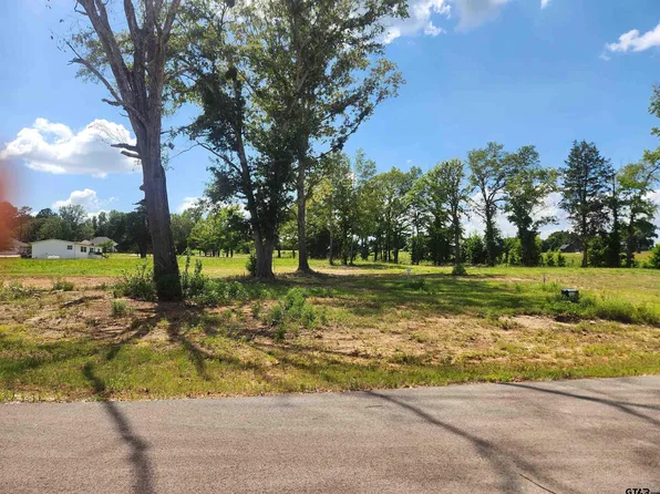 20034 Dews Ct Lot 3, Troup, TX 75789