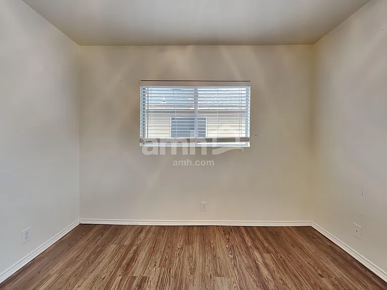 142 Blue Juniper — Photo 11