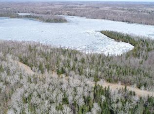 42226 Turtle Lake Rd, Bigfork, MN 56628