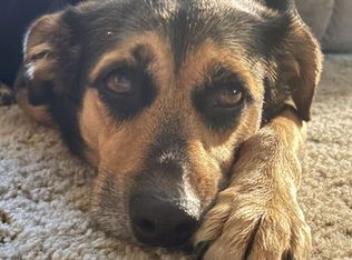 8828 Old Denton Rd #2102, Keller, TX 76244