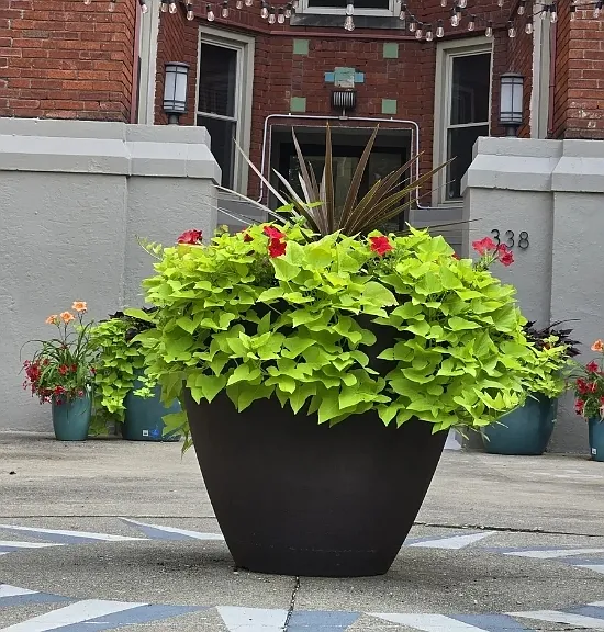 342 Forest Ave #C1 — Photo 29