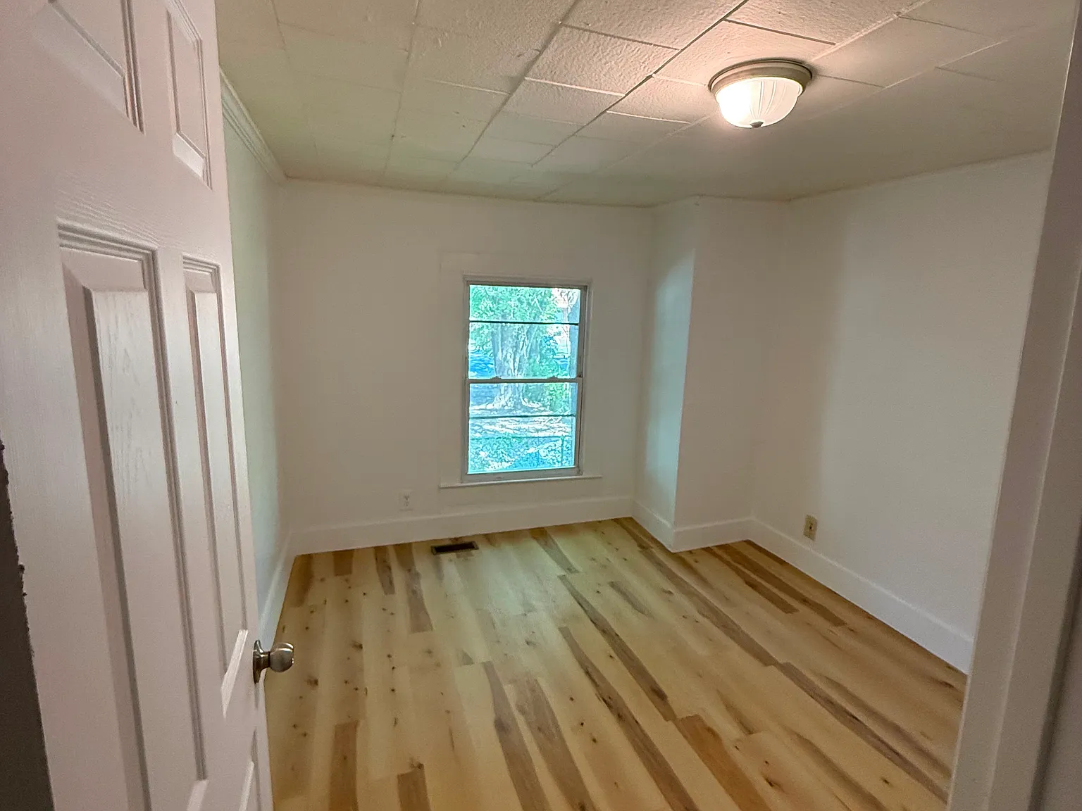 2 bed, 800 sqft, $1,000 — Photo 4