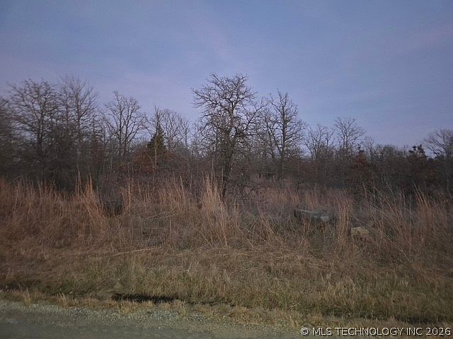 2nd image of 0 W Cedar Ln