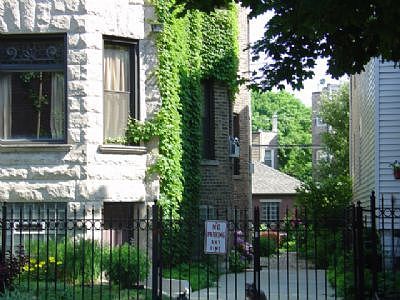1st image of 1328 W Argyle St #Garden