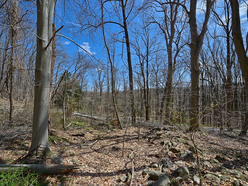 2nd image of Lot 3 Sheeder Mill Road