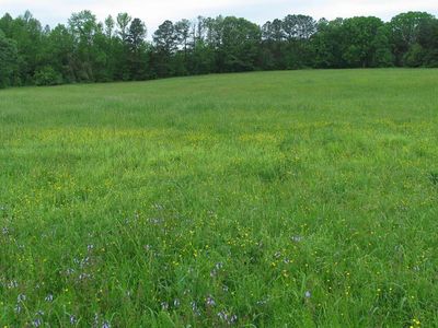 6 Paschall Station Rd #8, Warrenton, NC, 27589