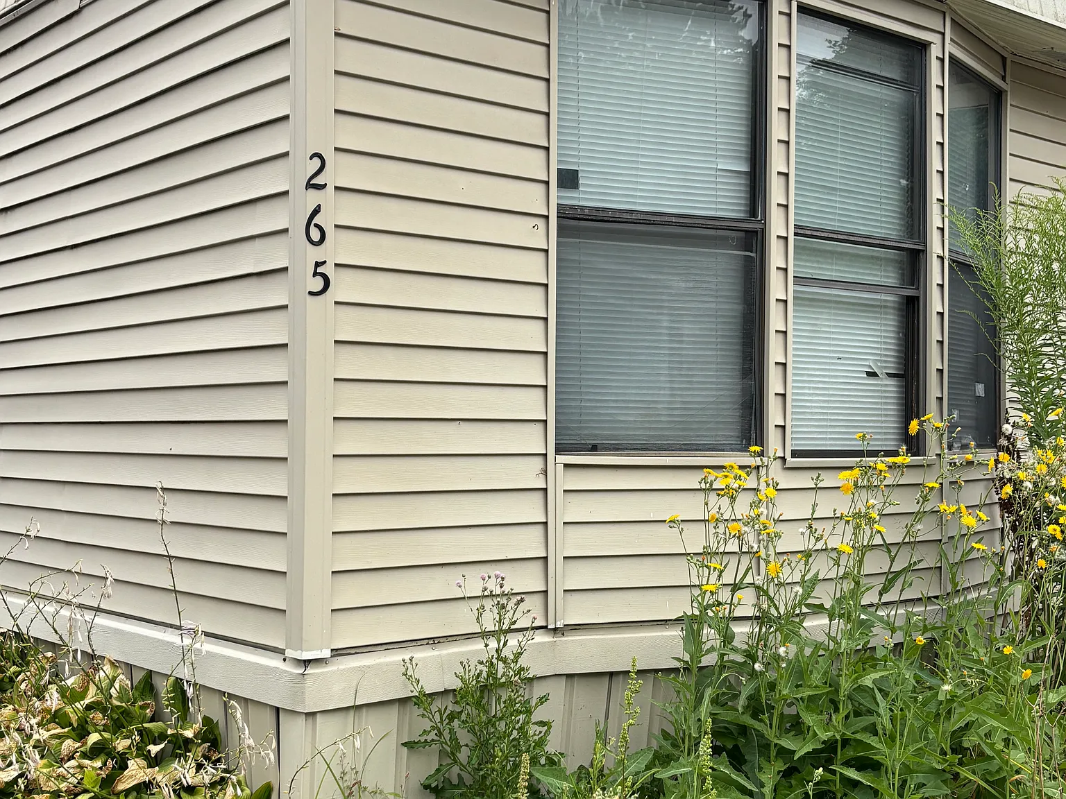 3 bed, 1.5 bath, 924 sqft, $1,150 — Photo 2