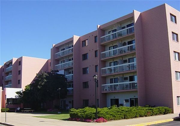 Tamarisk 1