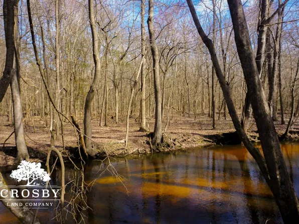 Highway 301, Alcolu, SC 29001