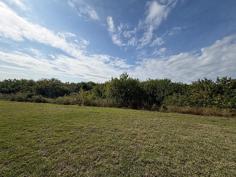 Private back yard