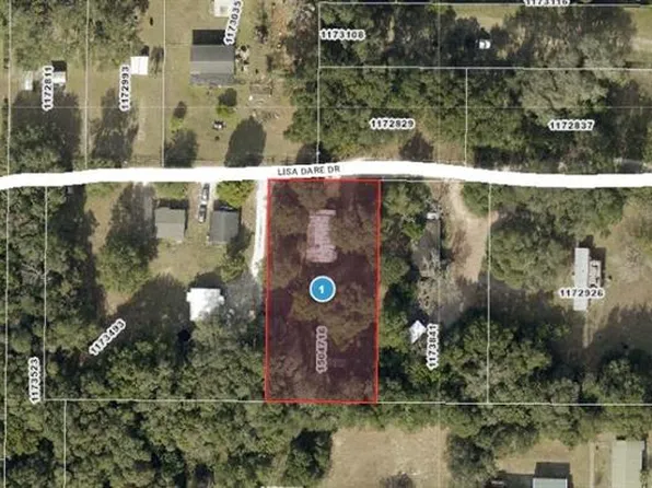 2144 Lisa Dare Dr, Leesburg, FL 34748