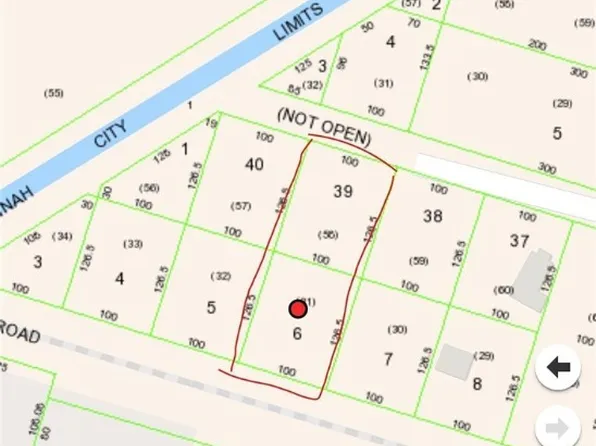 165 Darling Street, Savannah, GA 31408