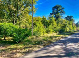 Boon Dock Rd, Avinger, TX 75630