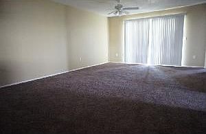 Living & Dining Room