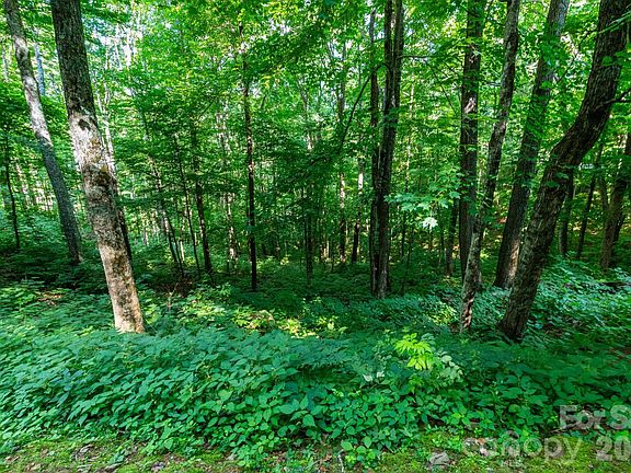 2nd image of LOT 25 Finlaystone Trce