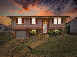 613 Forster St, Farmington, MO 63640
