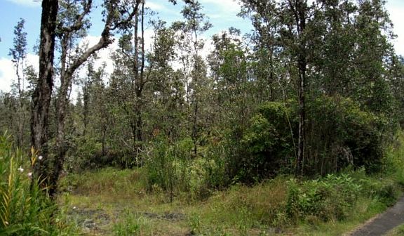 3rd image of Road 5 Lot 4076