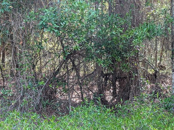 5th image of SW 202nd Ct Lot 21