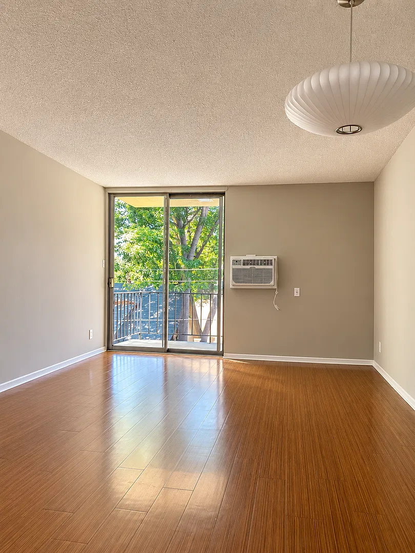 Hollywood Colony — Photo 3