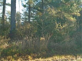 2nd image of 0 Ragin Rd