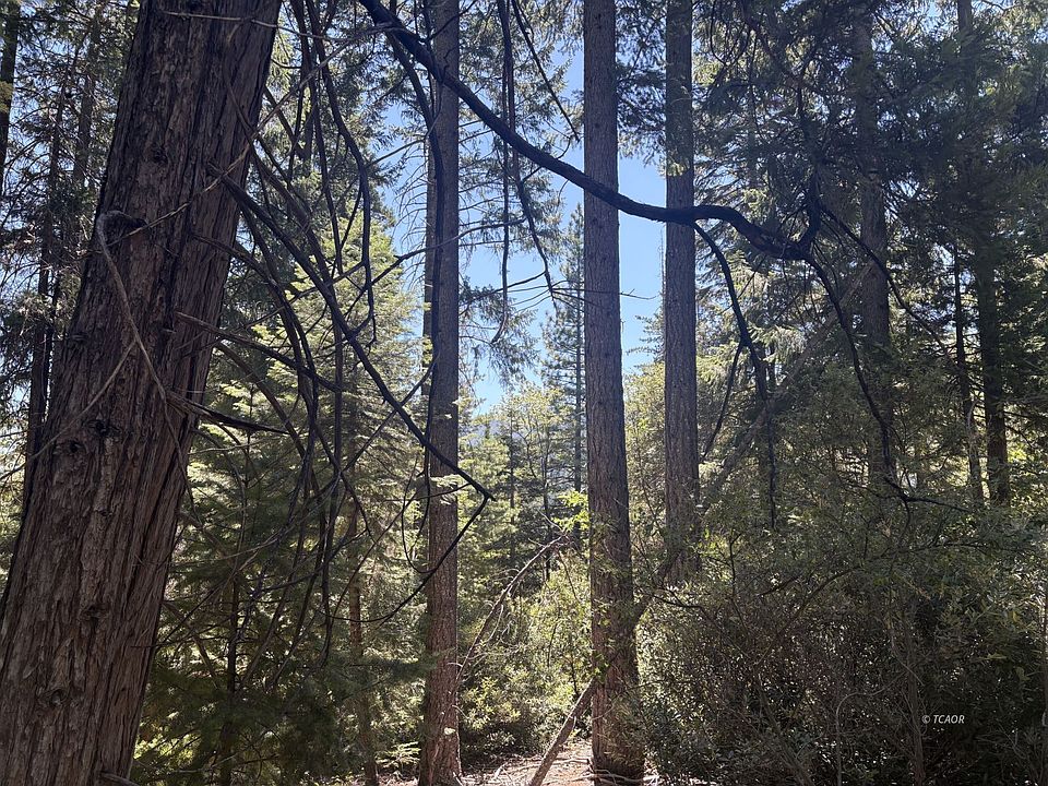 2nd image of Castle Lake Rd