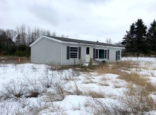 11315 Hibma Rd, Tustin, MI 49688