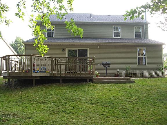 Back View