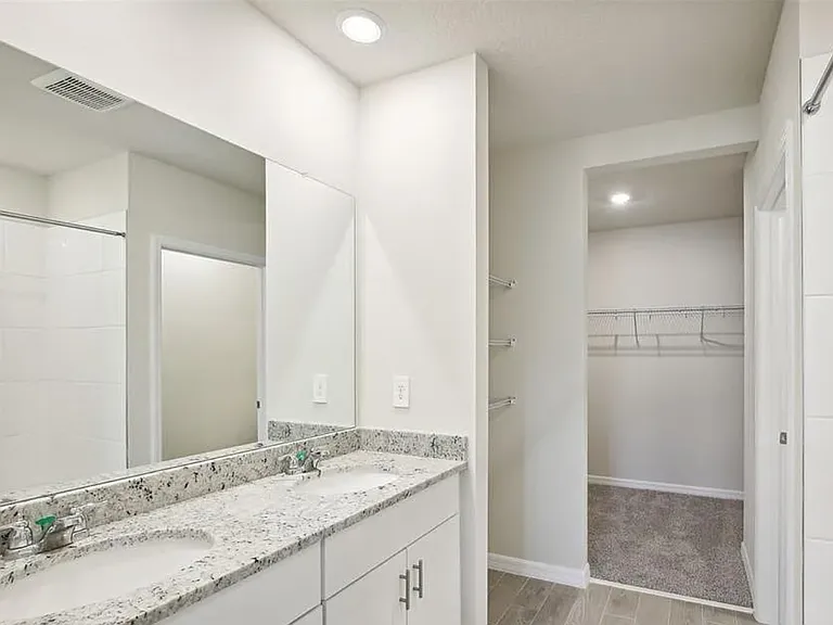 Master bathroom and closet