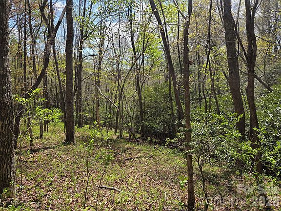 3rd image of 0 Robinson Creek Rd