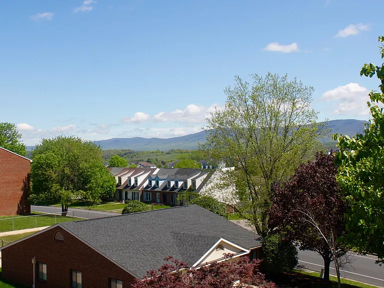1010-8 Blue Ridge Dr — Photo 4