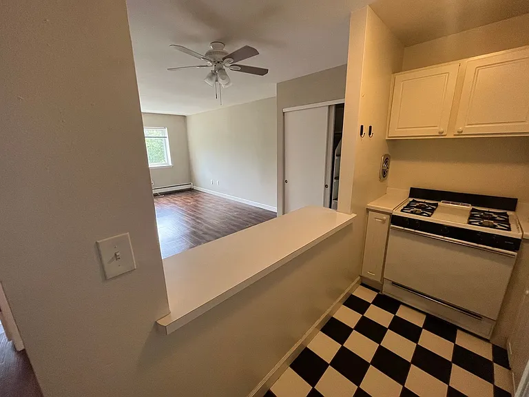 Ariel Place — Photo 19