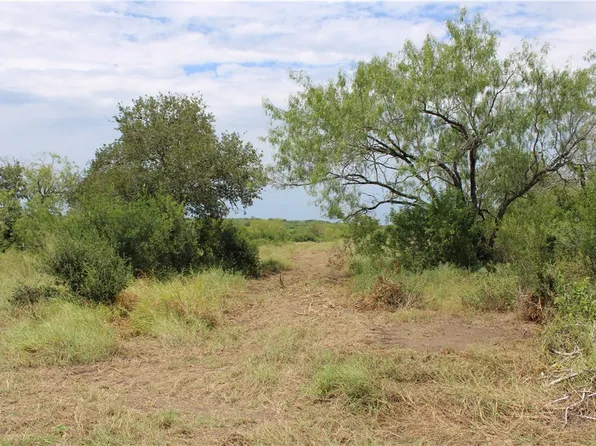 129 Vista Fina Dr #2, Sandia, TX 78383