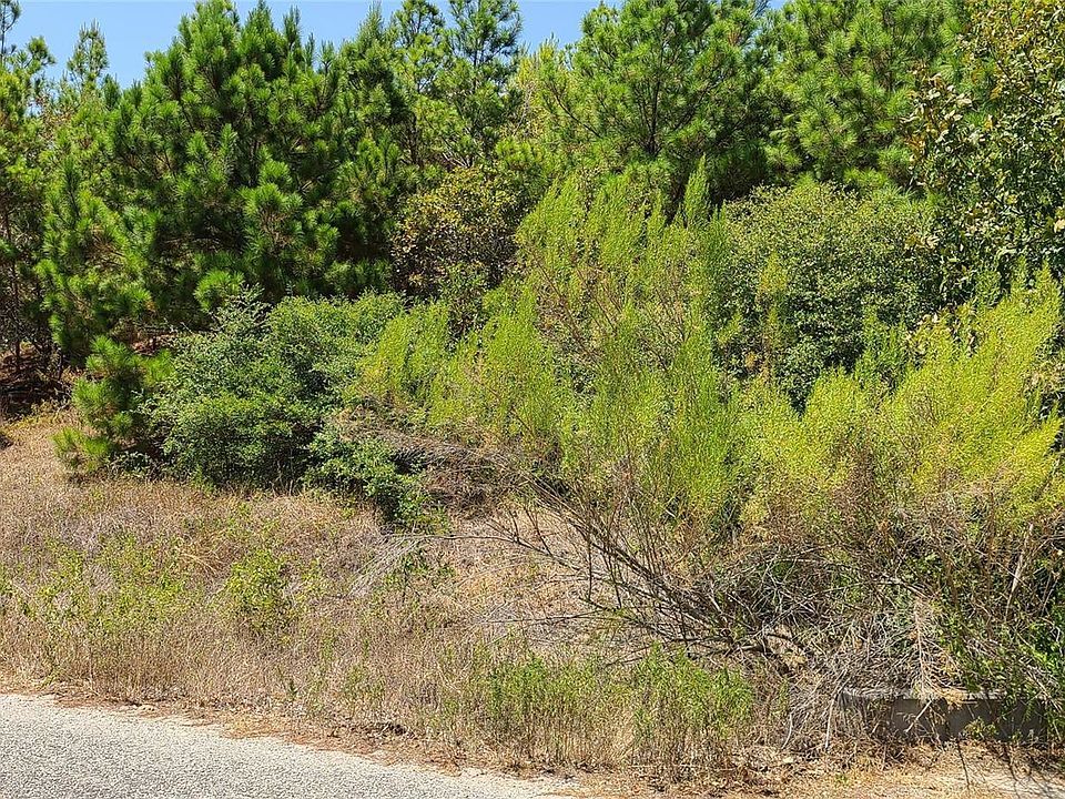 2nd image of Tbd Tall Forest Dr