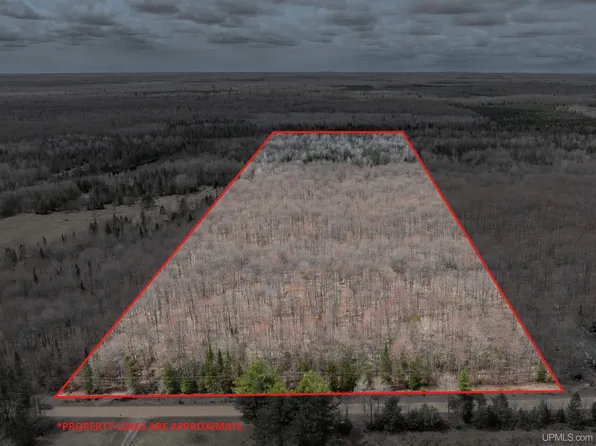 Tbd Coaster Rd, Trenary, MI 49891