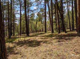 102-10 Two, Greer, AZ 85927