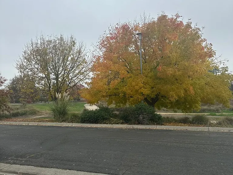 340 Lyman Cir — Photo 16