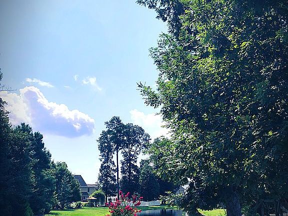 3rd image of 6093 Bell Creek Dr