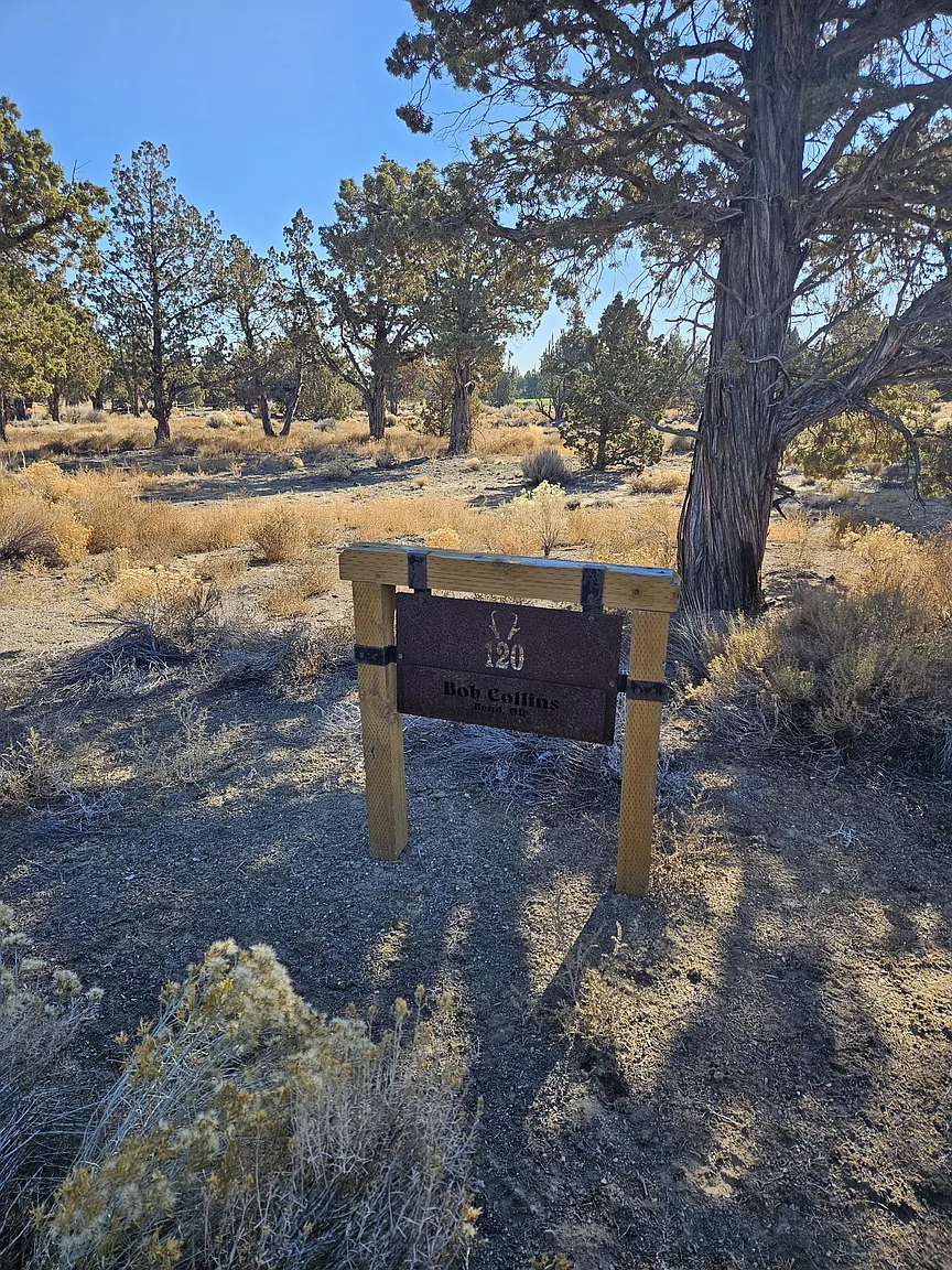 23031 Brushline Ct Lot 120 photo 1