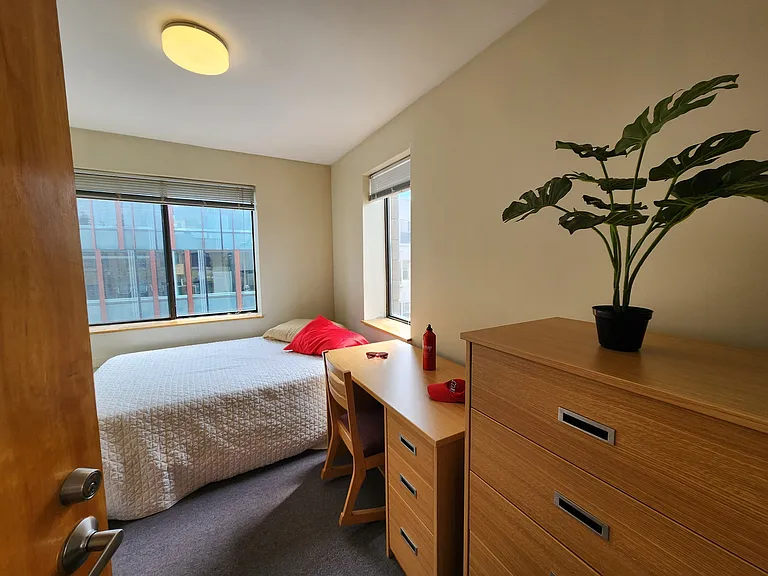 Collegetown Court, 208 Dryden Road — Photo 158