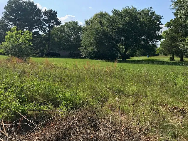 Manuel Rd — Photo 17