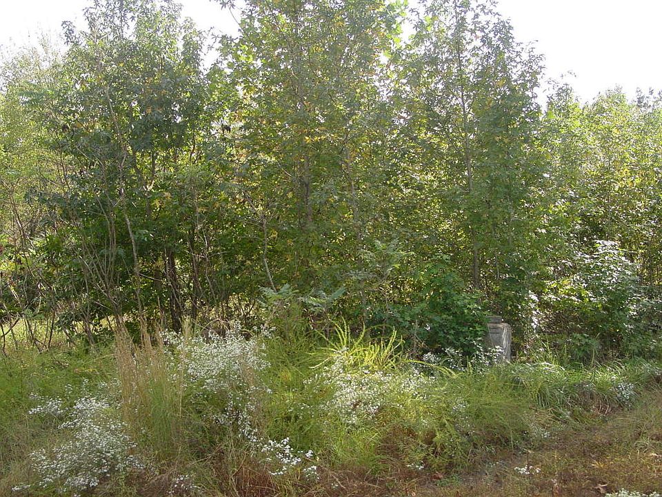 1st image of 9257 Sr 164 E