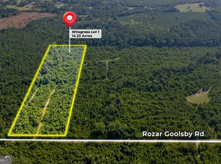 1 Rozar Goolsby Rd, Eastman, GA 31023