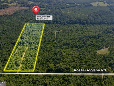 1 Rozar Goolsby Rd, Eastman, GA, 31023