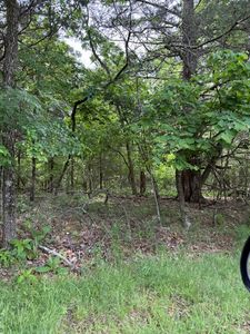 LOT 67 E Rocky Ridge Pl, Garfield, AR, 72732