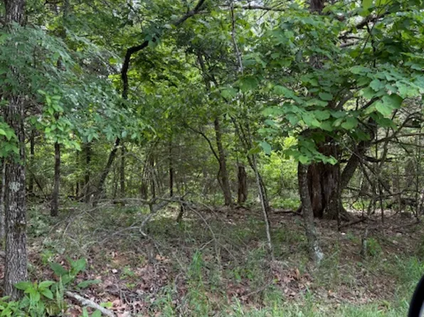 LOT 67 E Rocky Ridge Pl, Garfield, AR 72732