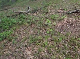 8461 W Workman Rd, Lake City, MI 49651