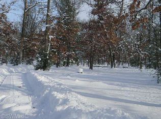 12657 S Star Lake Dr, Baldwin, MI 49304