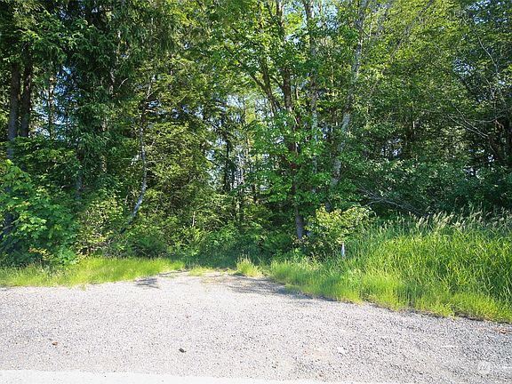On Map - Point A.  This is property line area along the road. The Panhandle is to the left, full properrty is to the right.  The rectangular area above the "panhandle" is county owned area. Points are estmated on Pictures. Stakes are present to show points and lines.>