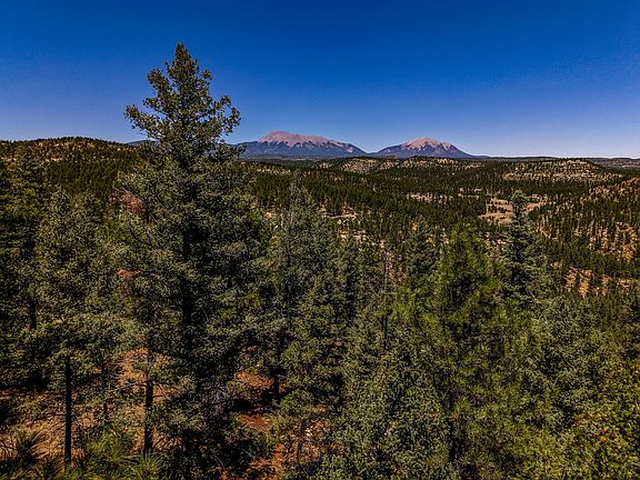 3rd image of Timber Valley Dr #43C